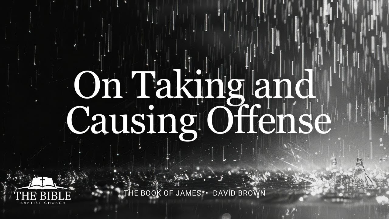 On Taking and Causing Offense | David Brown