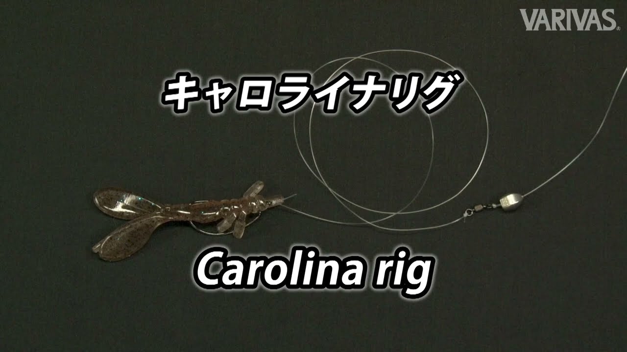 キャロライナリグ【VARIVASリグ大図鑑】