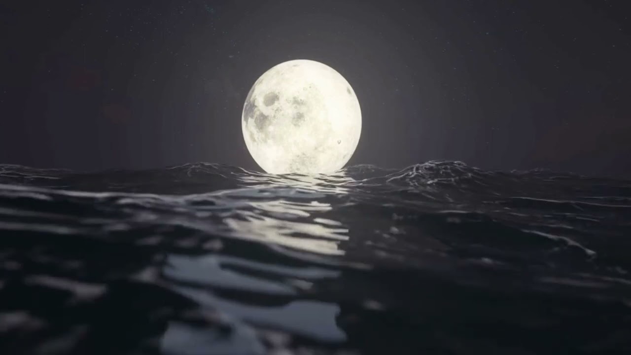 The RCM Project - Moonlit Waves #visualizer