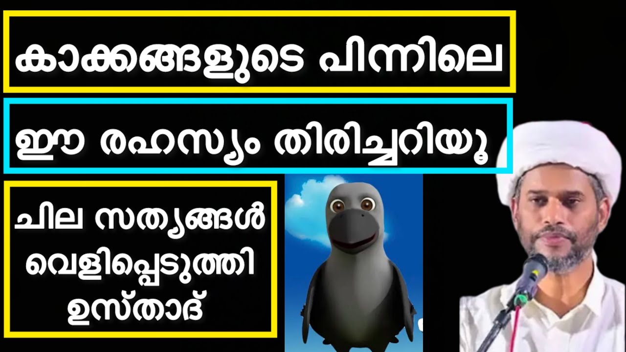 കാക്കകളുടെ പിന്നിലെ രഹസ്യം കേട്ടു നോക്കൂ 👍#prabhashanam #salimfaizynewspeech2022