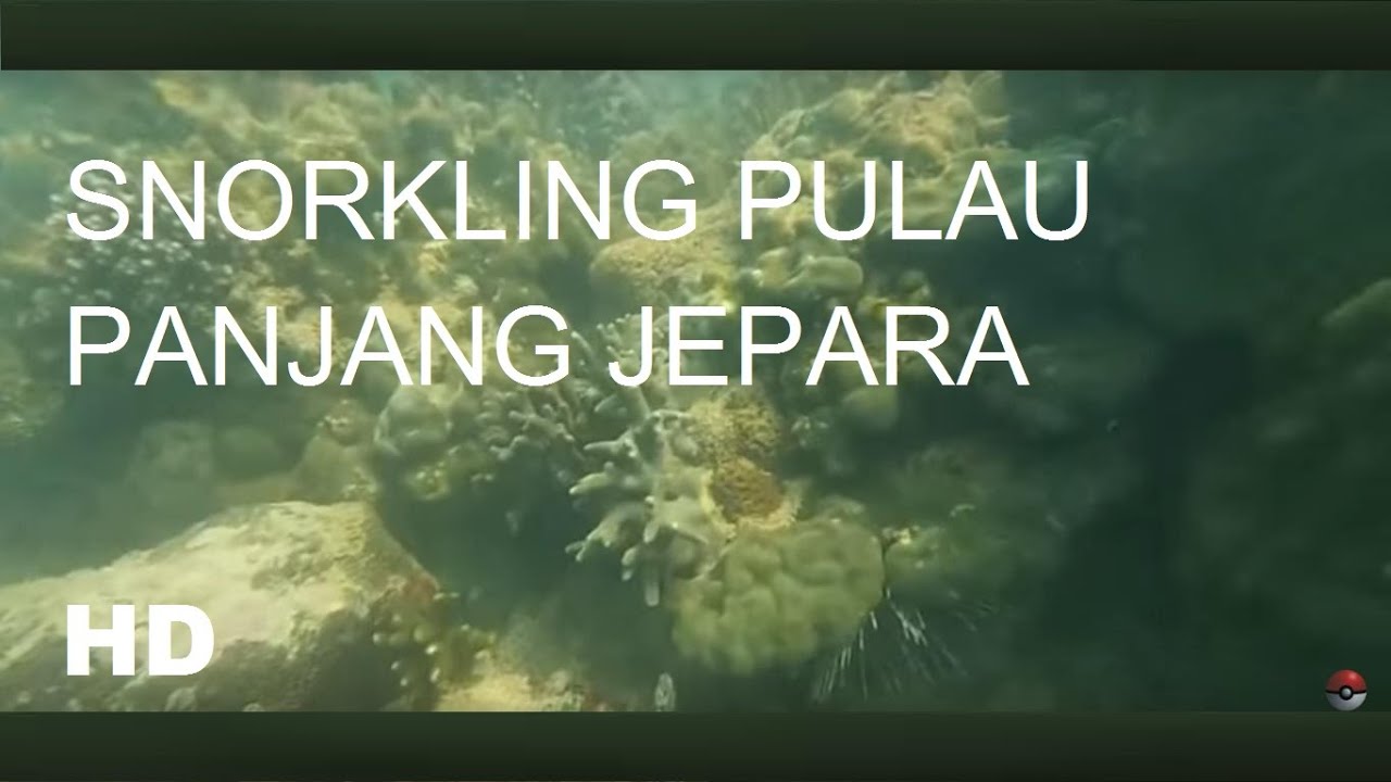 SNORKLING PULAU PANJANG JEPARA