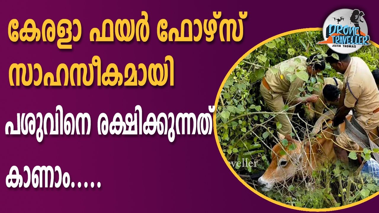 COW RESCUE KERALA FIRE FORCE  VAIKOM UNIT