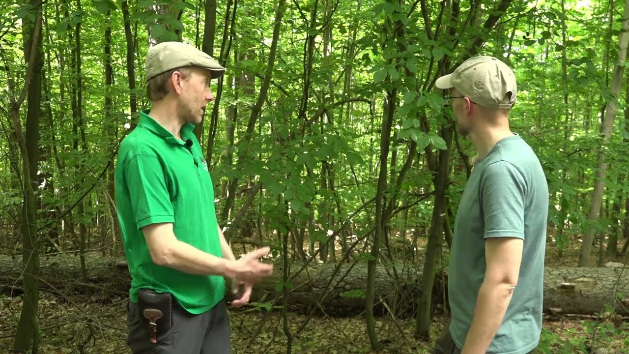 Ekologické lesnictví v praxi – DO Samechov (Lesy České republiky, s.p.)