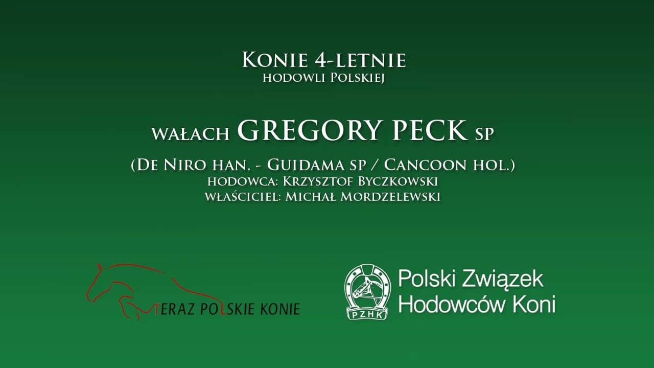 Wałach GREGORY PECK sp
