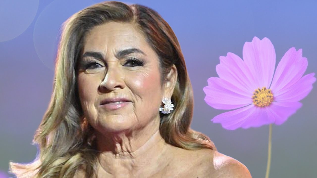 Romina Power annuncia la fine definitiva: 