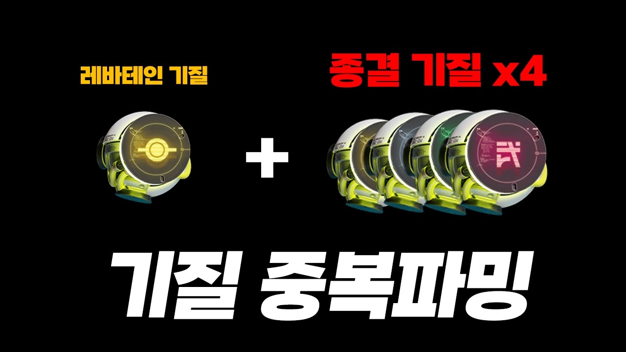 영상 하나로 끝내는 종결기질 여러개 먹는 방법