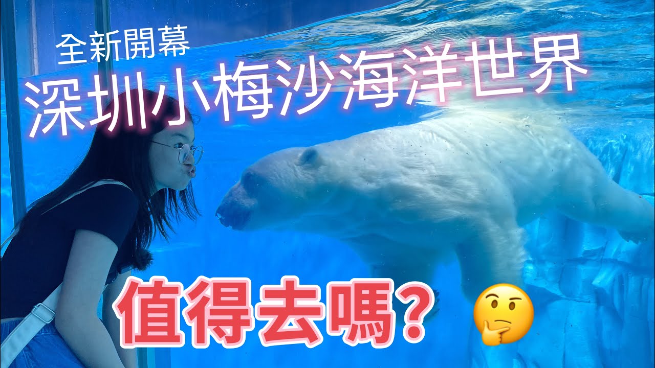G Ma 有Jetso之大灣區篇（18）：全新開幕深圳小梅沙海洋世界｜美人魚表演｜深圳最大圓柱水族缸｜￼震撼4D Show | 潛水體驗｜北極熊｜珊瑚餐廳｜MGM Hotel