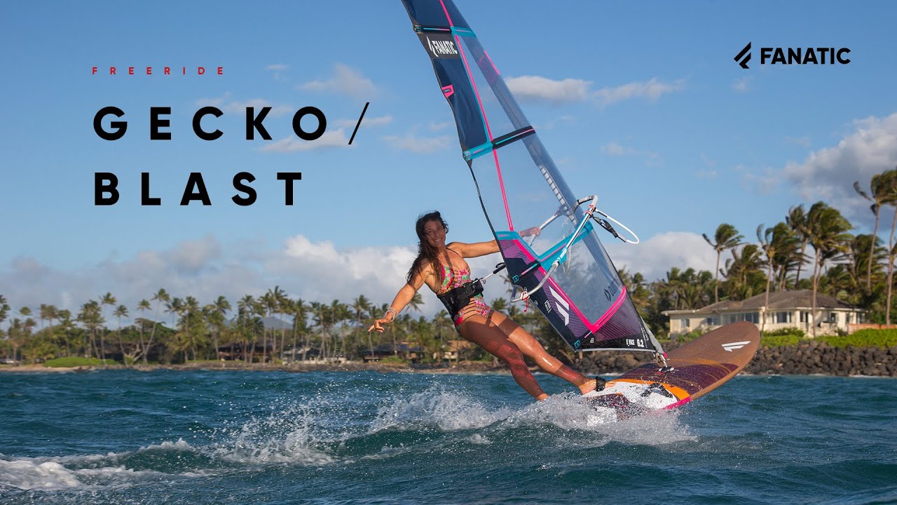 Fanatic Gecko & Blast 2020
