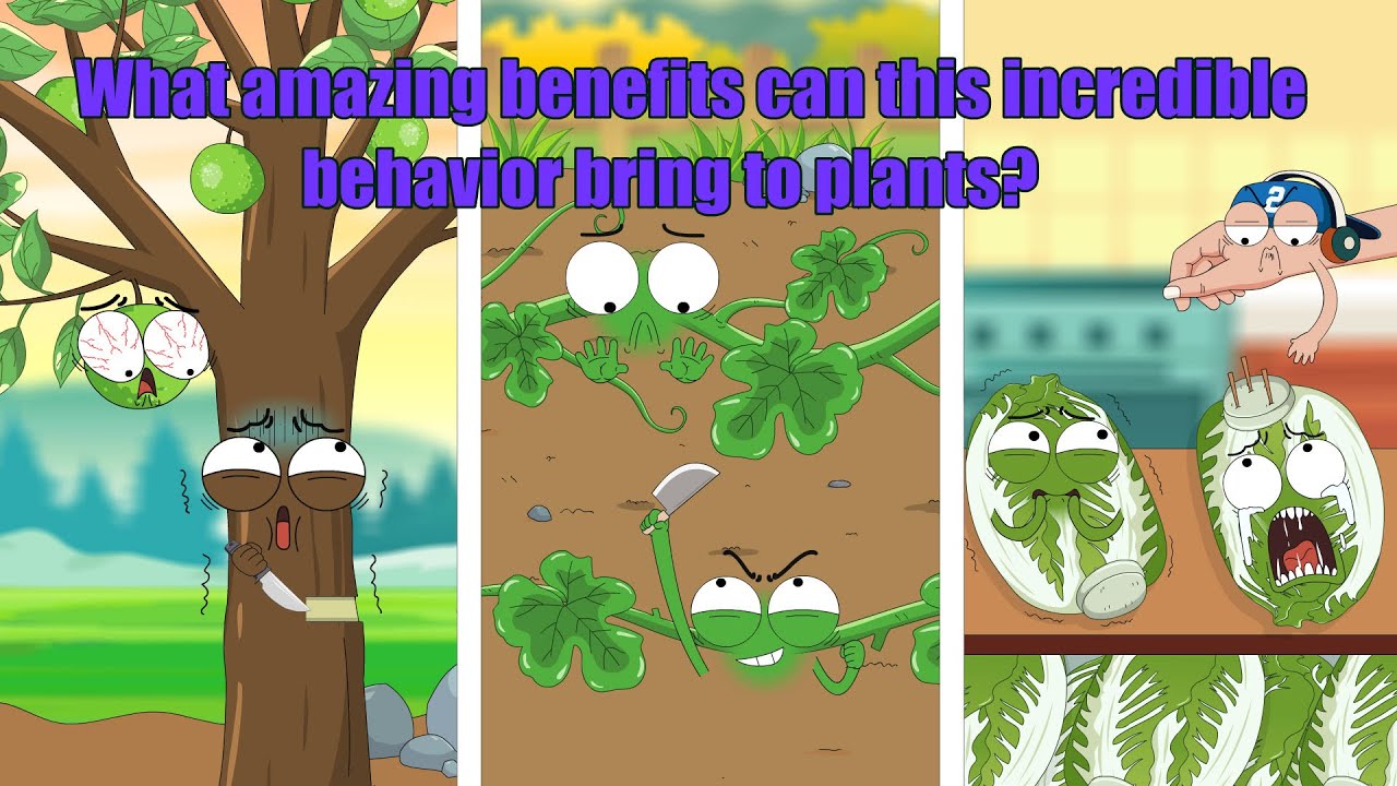 Why do your plants only grow taller and never bear fruit?#video