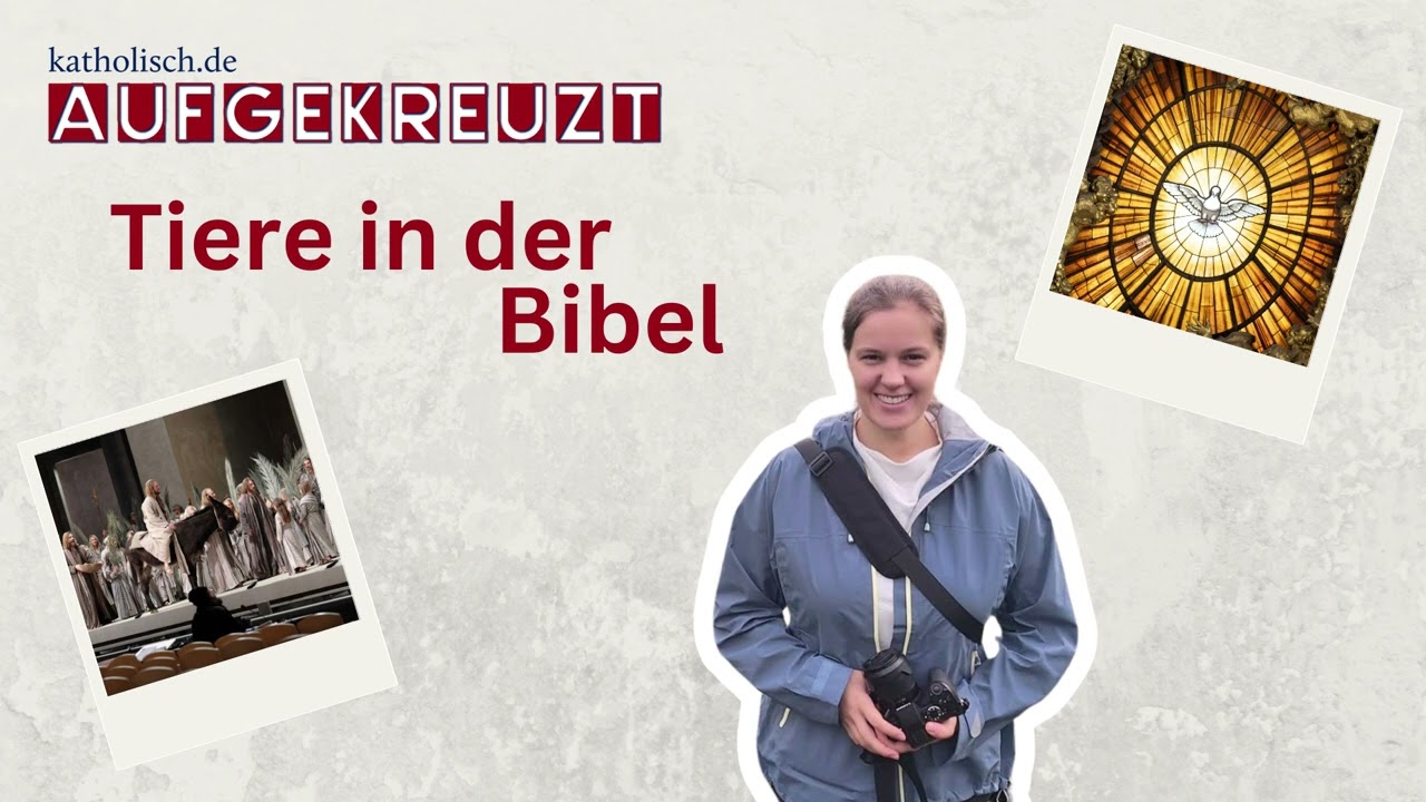 Aufgekreuzt | Tiere in der Bibel | Opferlamm und Perlen vor die Säue