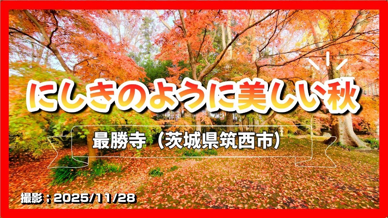 2025まるで京都No2【天台宗 最勝寺】（茨城県筑西市）[4K]