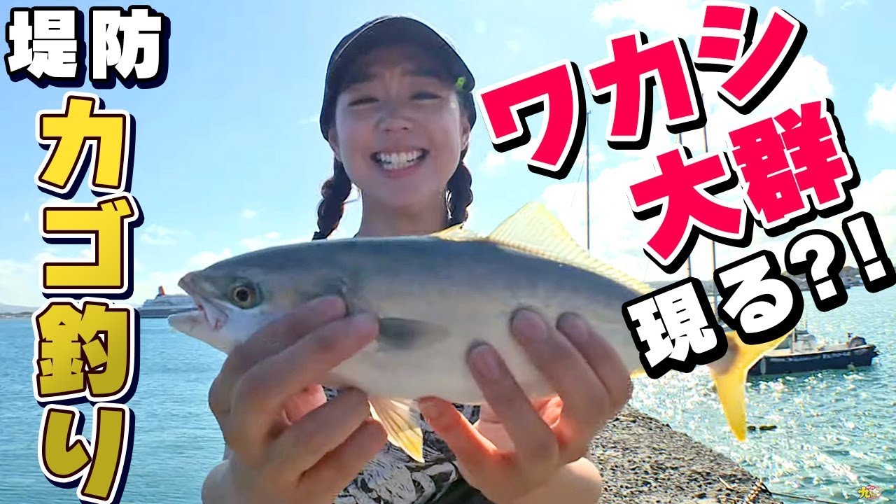 GO!GO!九ちゃんフィッシング #333　「堤防カゴ釣り！LTワカシ！（前篇）　Yellowtail Fishing ! Act.1」