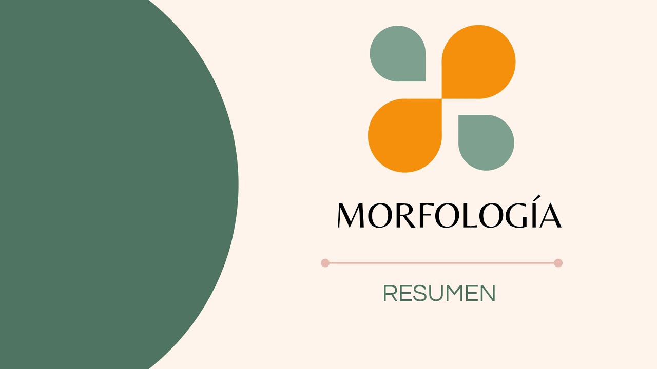 Morfología | Resumen