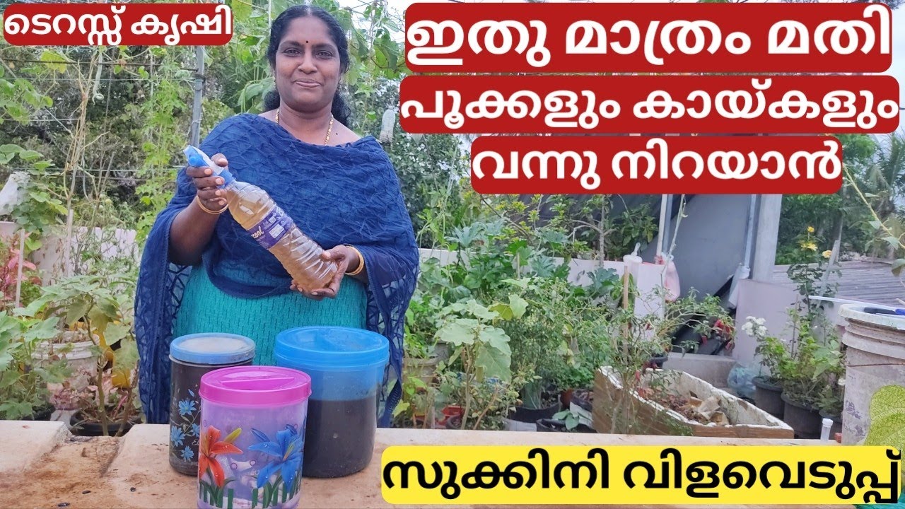 ഫിഷ് അമിനോ ആസിഡ് | FISH AMINO ACID | Preperation and use | Easy method | Malayalam