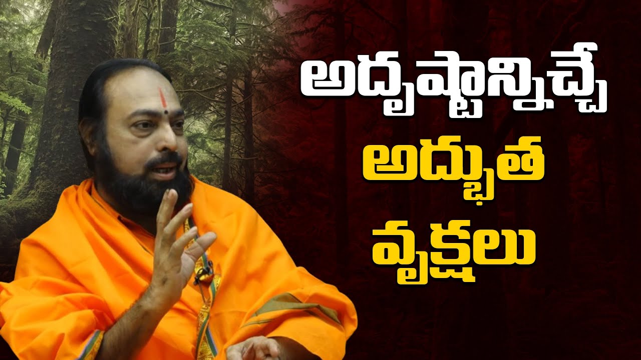 అదృష్టాన్నిచ్చే అద్భుత వృక్షాలు | Life-Changing Tips By Sri Devi Das @Sree Niravi Astro Tv