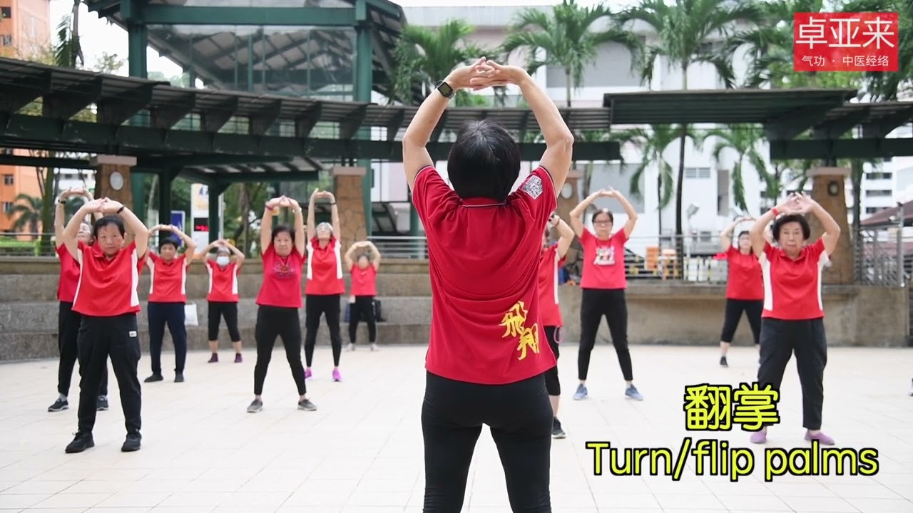 大雁气功第一套功1至11式（背面）Dayan (Wild Geese) Qigong First set 1-11 (Back shot)