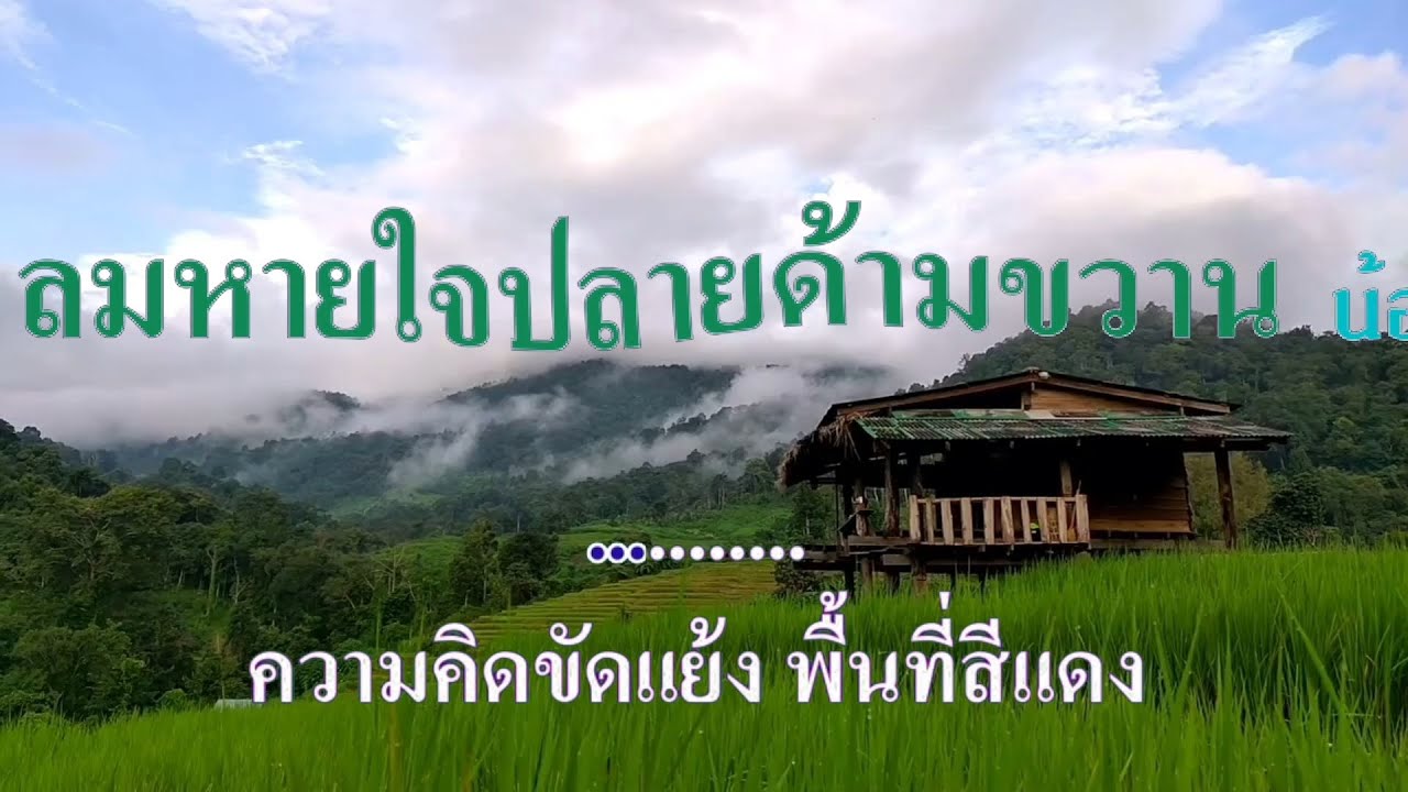 ลมหายใจปลายด้ามขวาน น้องเดียว  สุวรรณแว่นทอง #karaoke #คาราโอเกะ