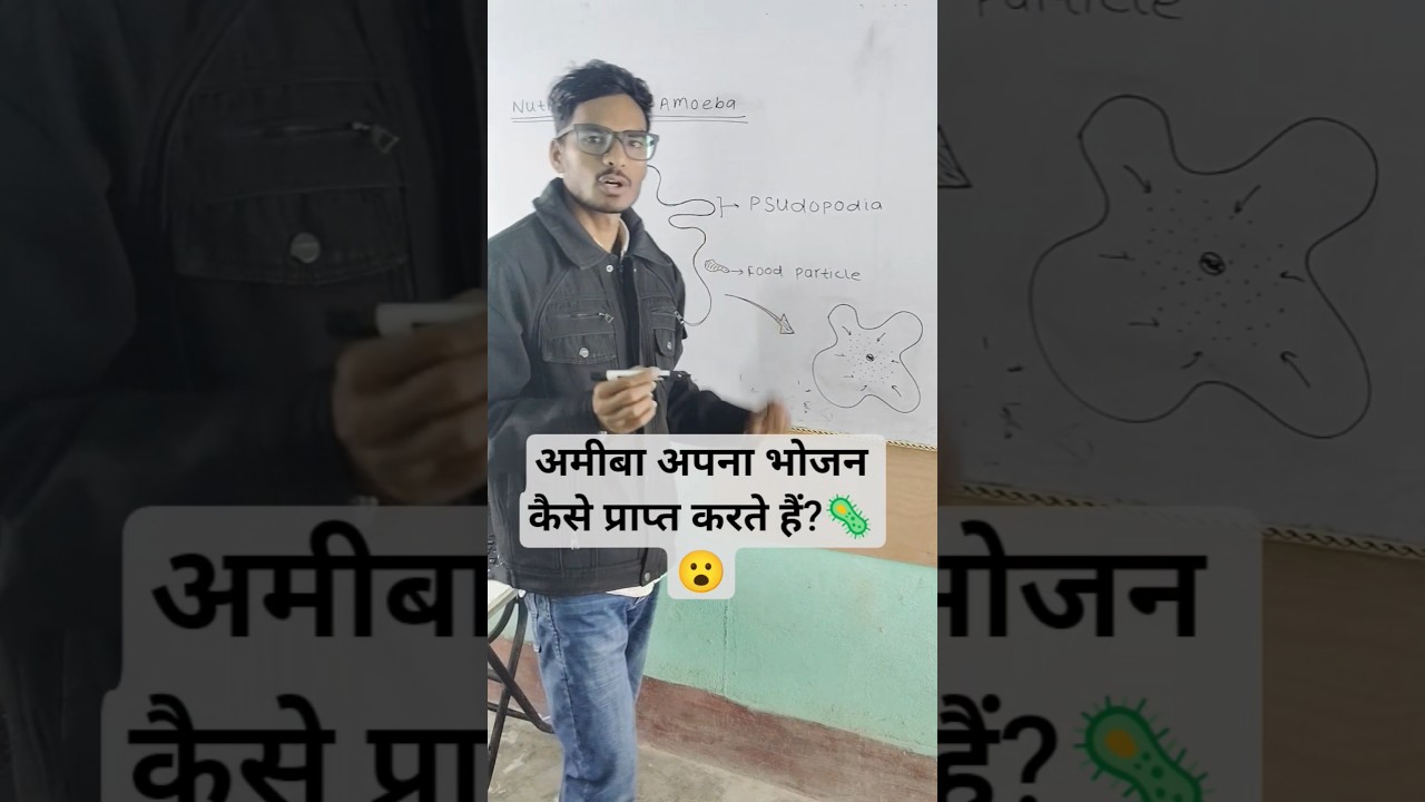 अमीबा में पोषण || amoeba mein poshan|| nutrition in amoeba 🦠#shorts #education #viral