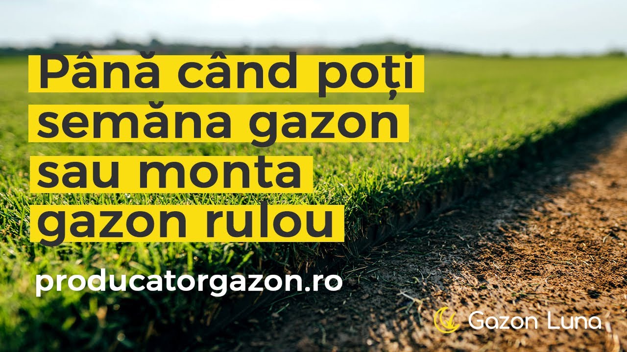 Care este data limită pentru semănarea semițelor de gazon sau montarea gazonului rulou?