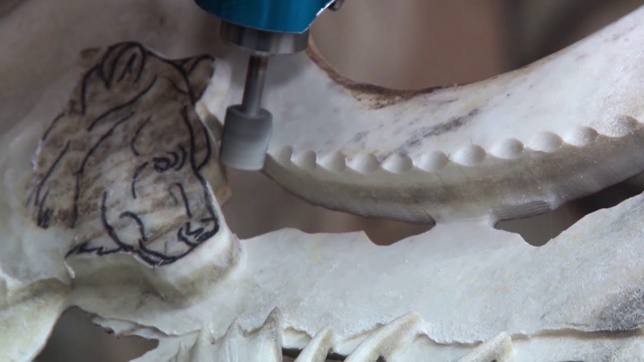 Antler carving