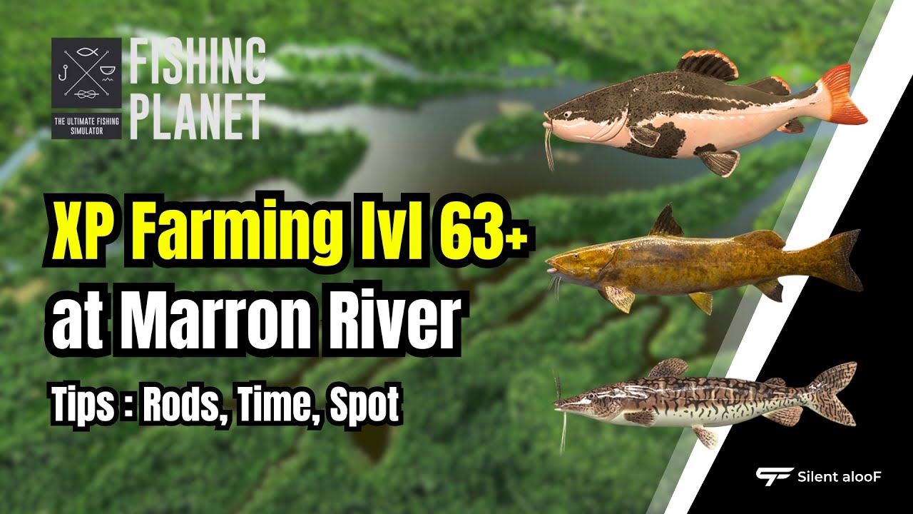 Fishing Planet XP Farming Guide: Level 63-68 Catfish Farming at Marron River (2025)