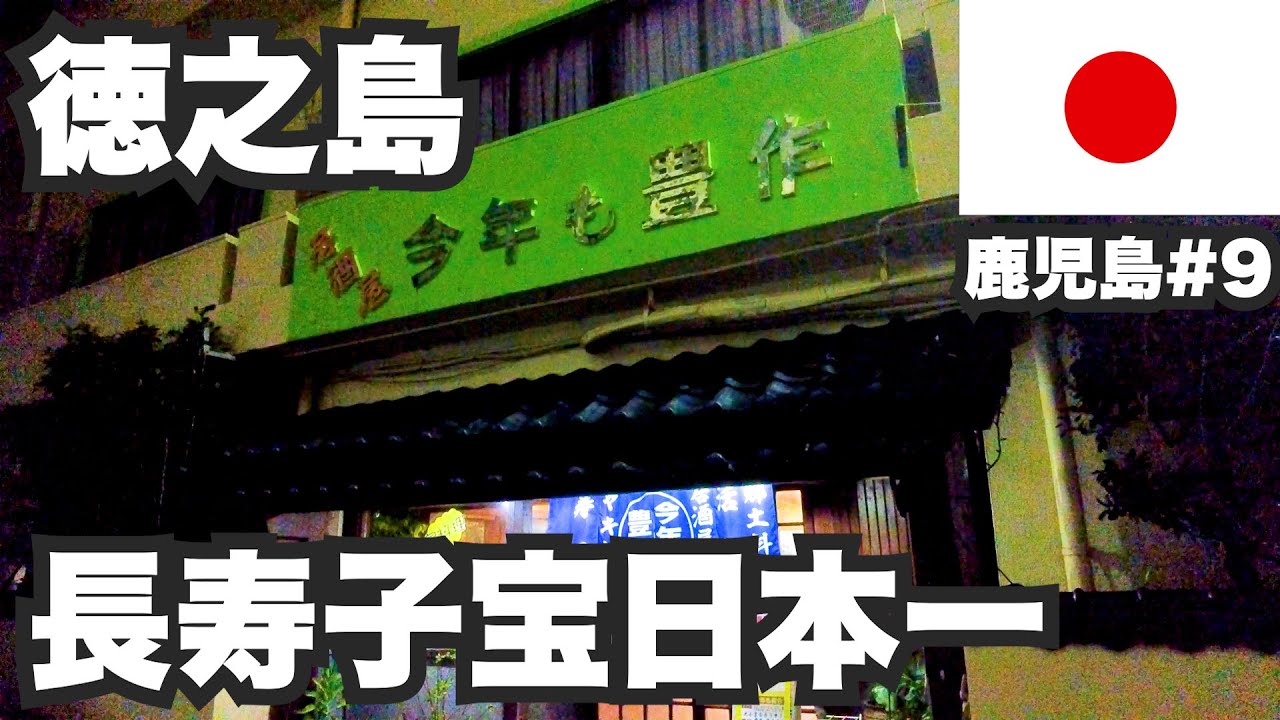 徳之島31歳ひとり旅。長寿子宝日本一。熱く燃える闘牛の島【鹿児島#9】