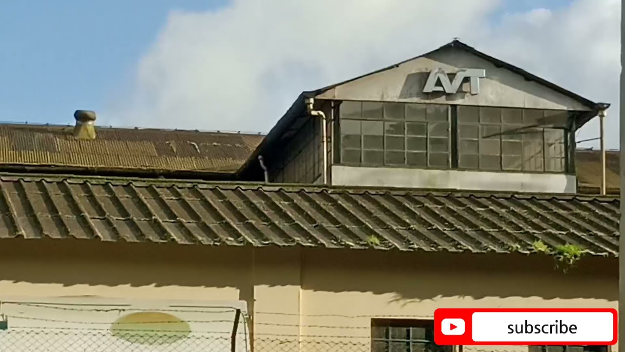 AVT തേയില തോട്ടം.... AVT FACTORY MANALARO ESTATE,NELLIYAMPATHY...