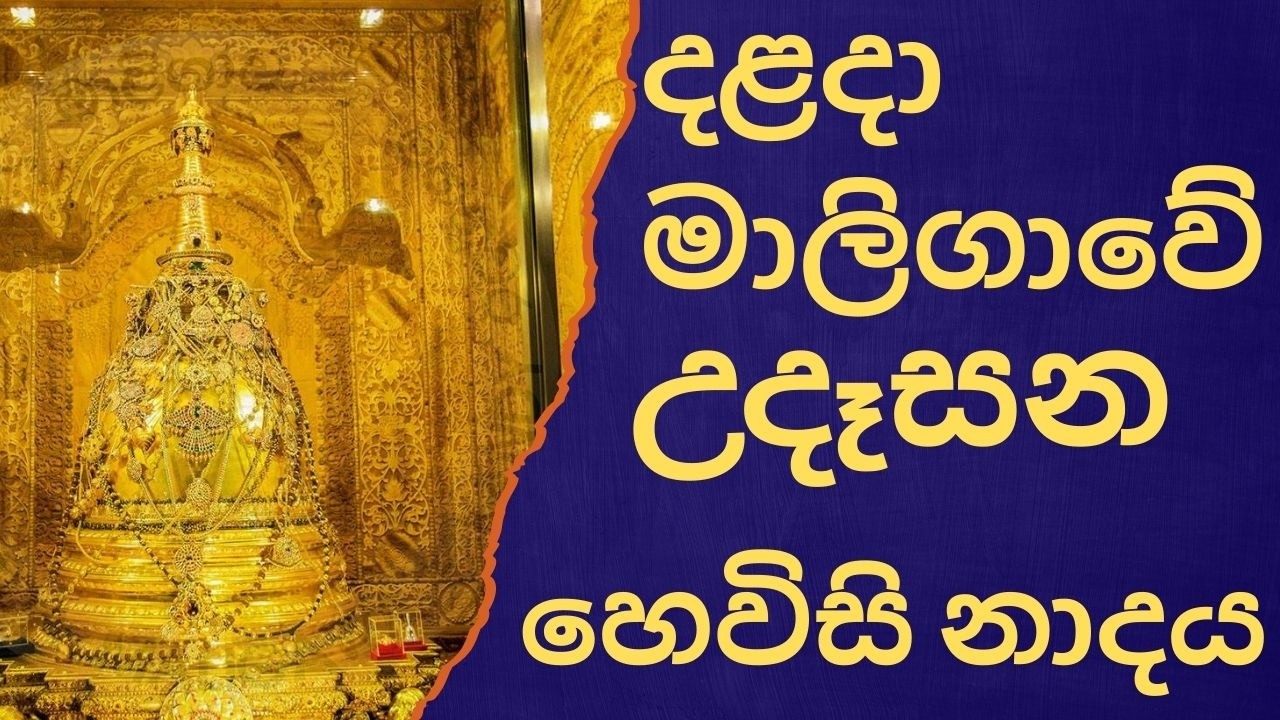 දළදා මාලිගාවේ සවස් තේවා හේවිසි – හදවත පිරිසිදු කරන නාදය 🎵 SIRI DALADA THEWA HEVISI NADAYA