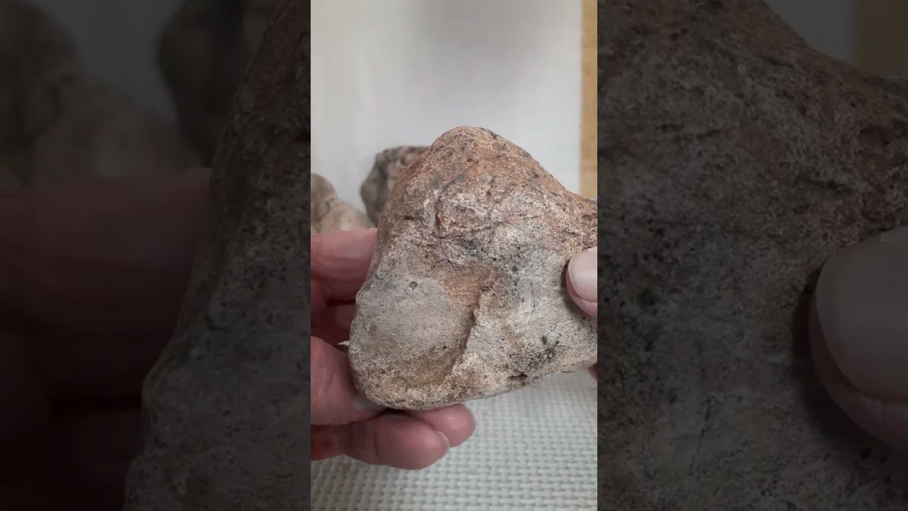 The oldest Stone Art of North America