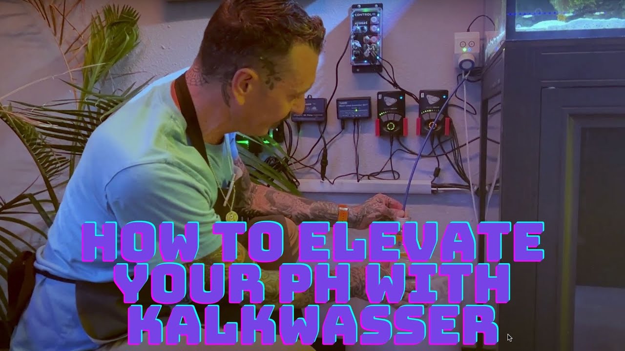 How to Elevate Your Ph With Kalkwasser