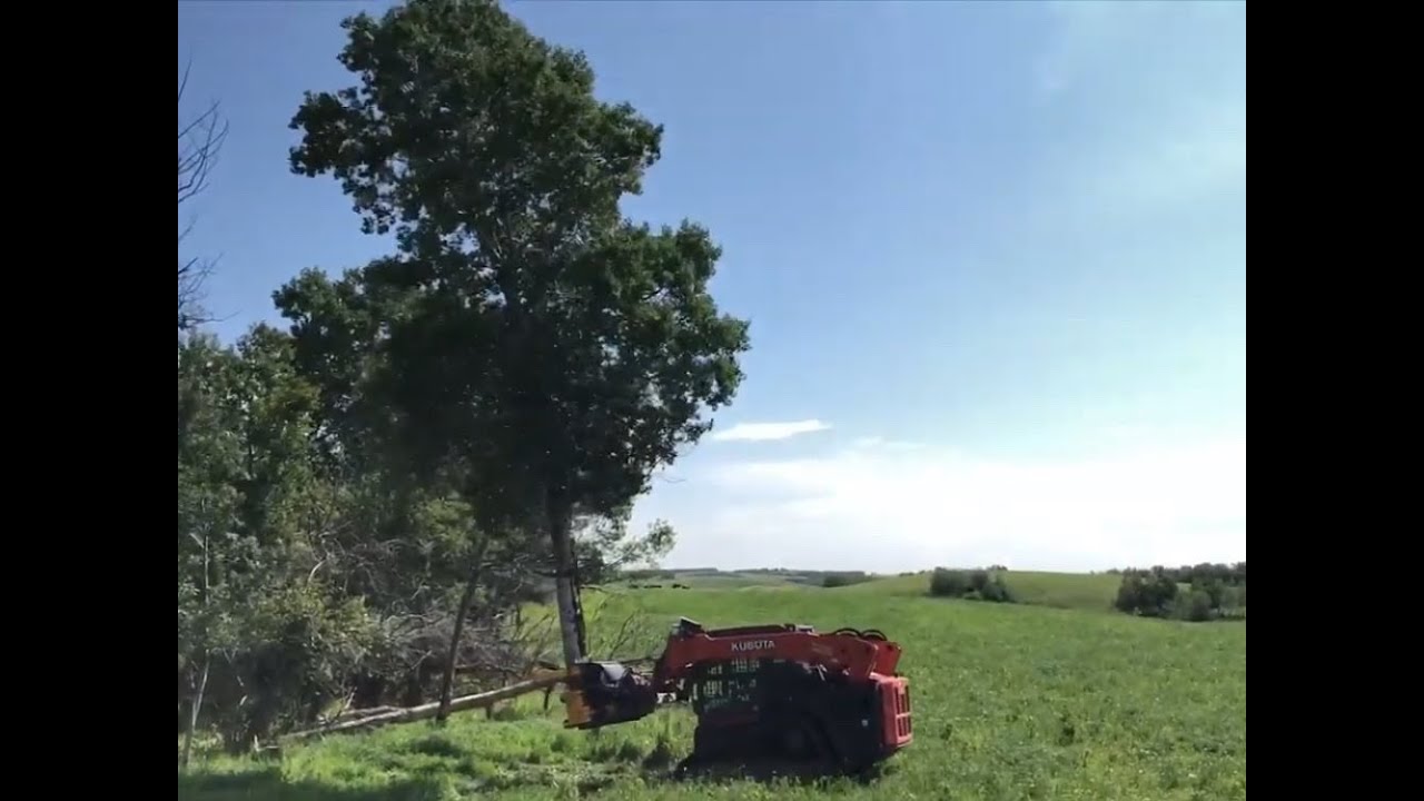 TMK 400 Tree Shear on skid steer demo by Swift Fox Industries