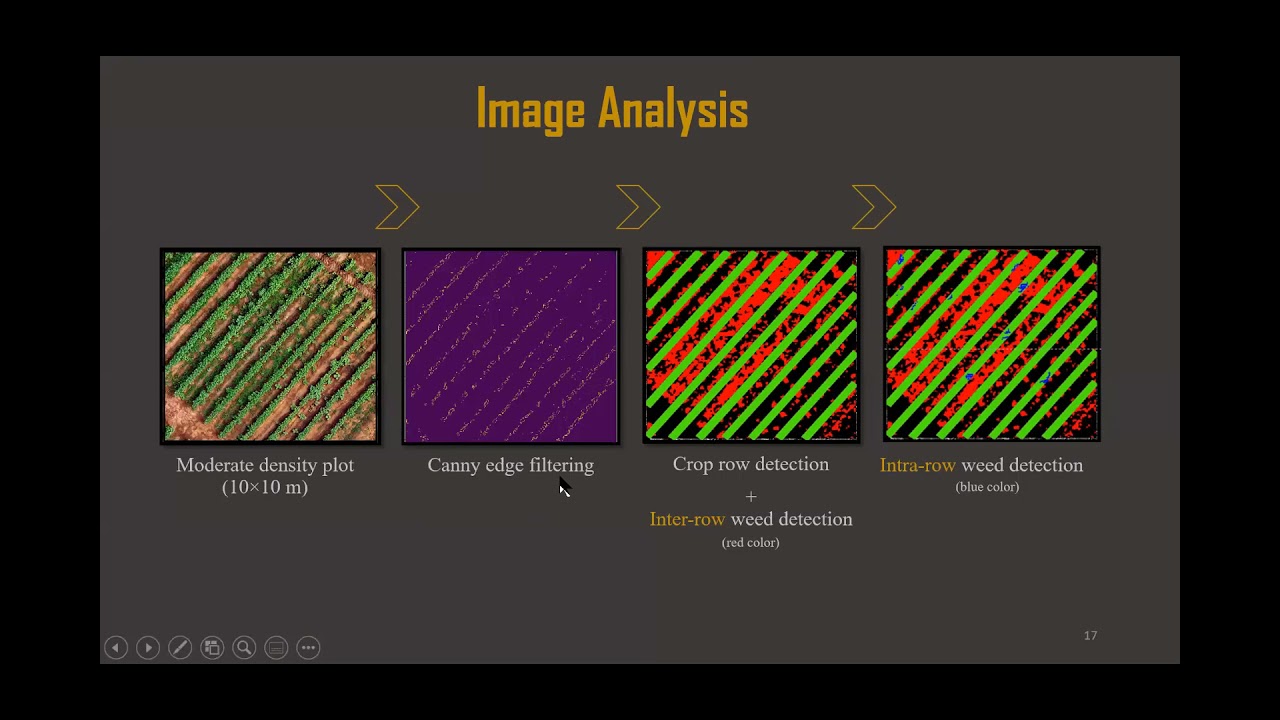 Remote Sensing and Computer Vision for Weed Detection and Mapping in Agricultural Systems