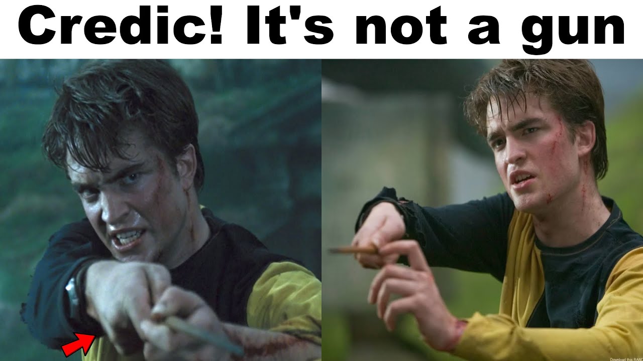 HARRY POTTER MEMES #45