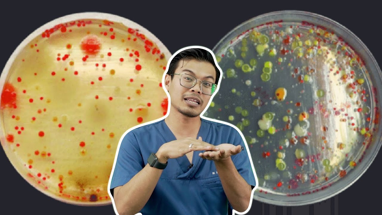 Orang Biak Haiwan, Saya Biak Kuman