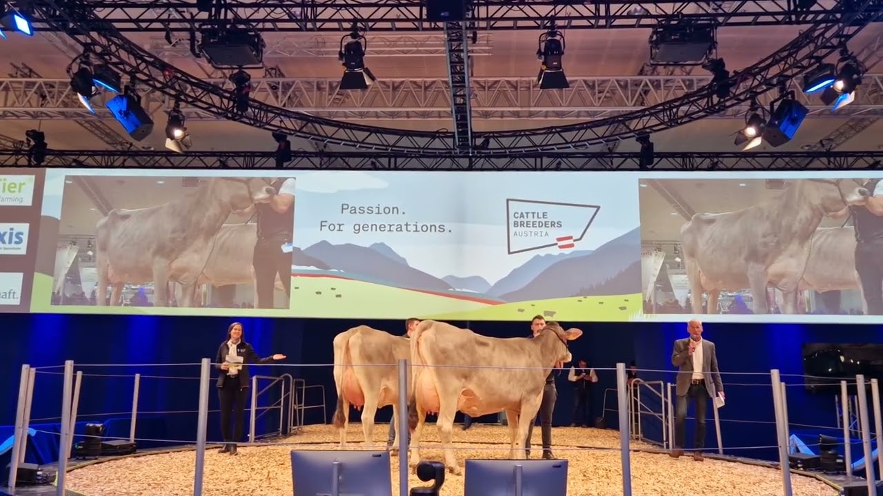EUROTIER Präsentation GS AUSTRIA Brown Swiss mit Peter Stückler und Stefanie Zottl