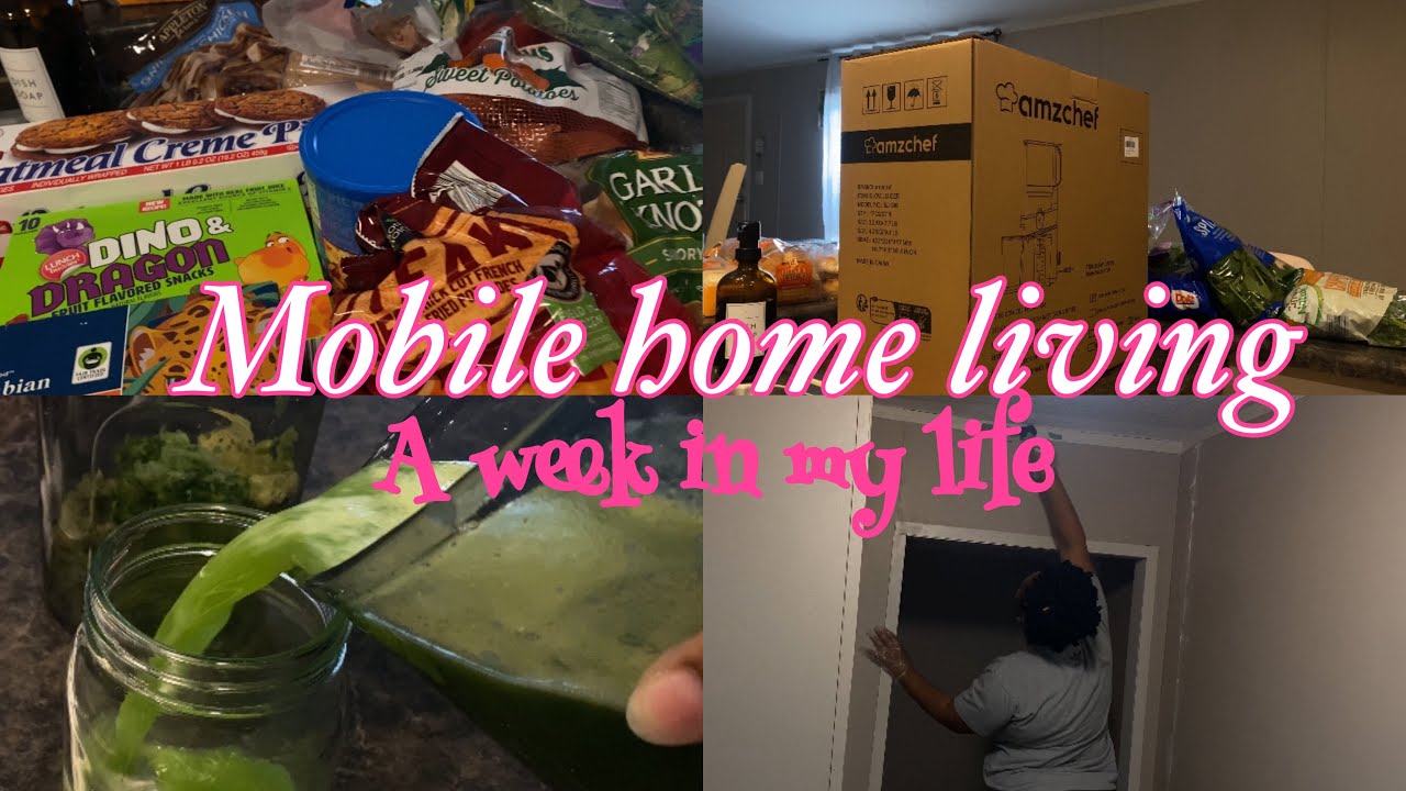 SINGLE WIDE MOBILE HOME: WEEKLY GROCERY HAUL, JUICER UNBOXING, LAUNDRY ROOM REMODEL