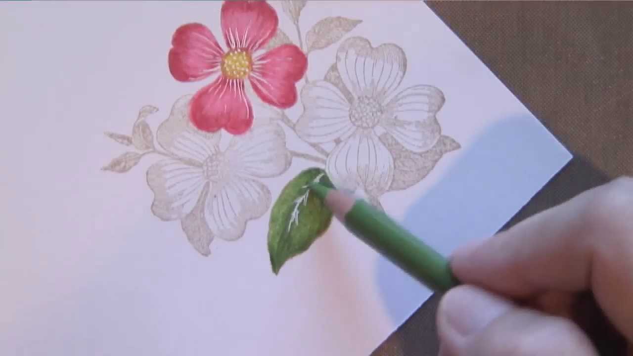 Colored Pencil Flowers