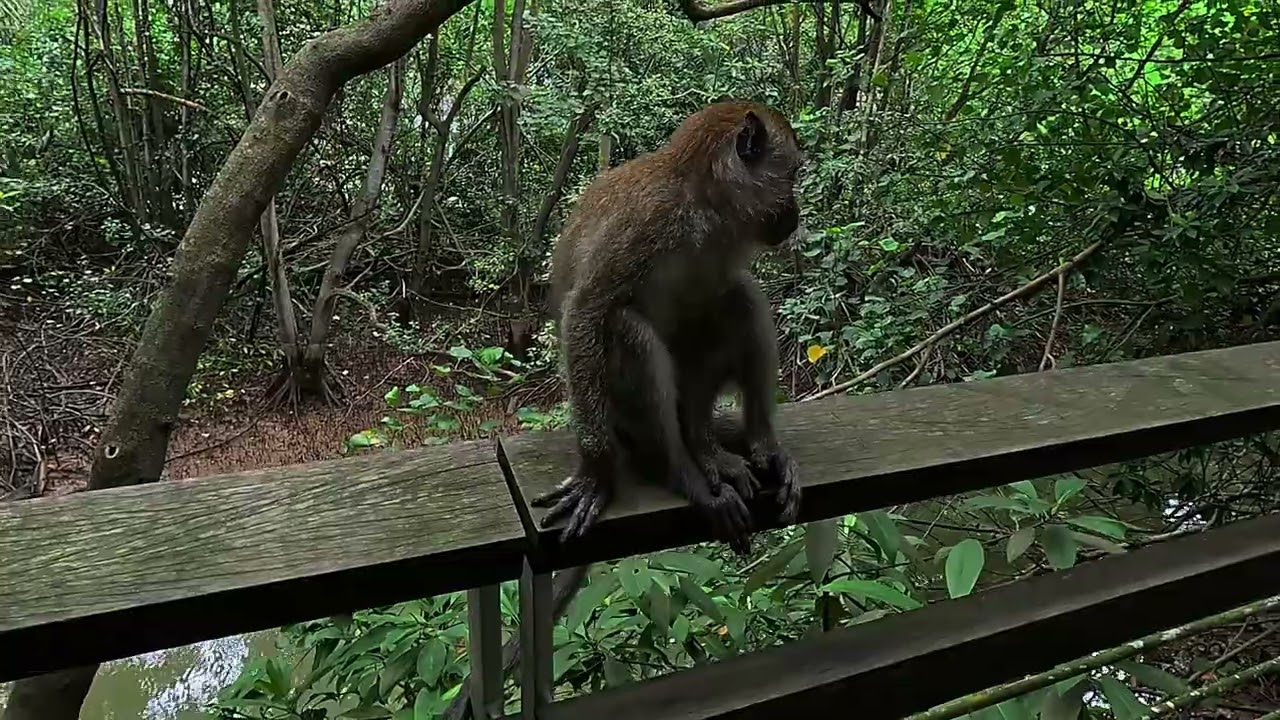 Fort Canning, Labrador Nature Reserve & Haw Par Villa – A Walk Through Singapore’s Past