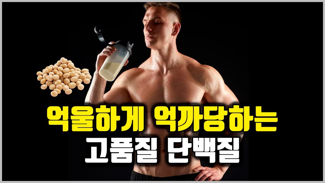 단백질의 오아시스 대두단백