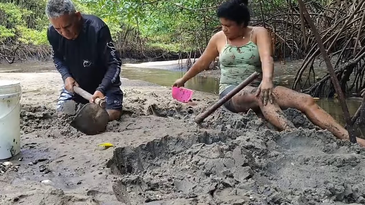MARISCANDO E COMENDO NO MANGUEZAL!