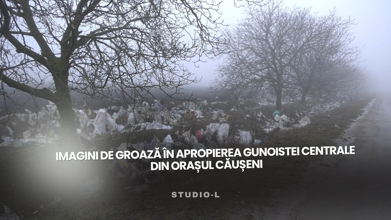 Imagini dezolante &icirc;n apropierea gunoistei centrale din orașul Căușeni