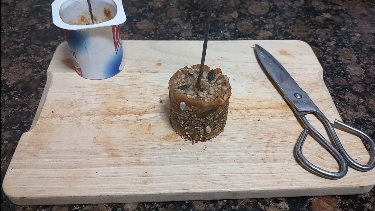 Como hacer una bola de sebo con semillas para alimentar aves.