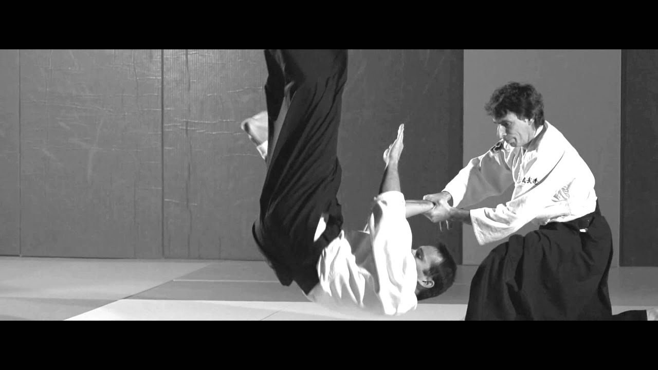 Aikibudo