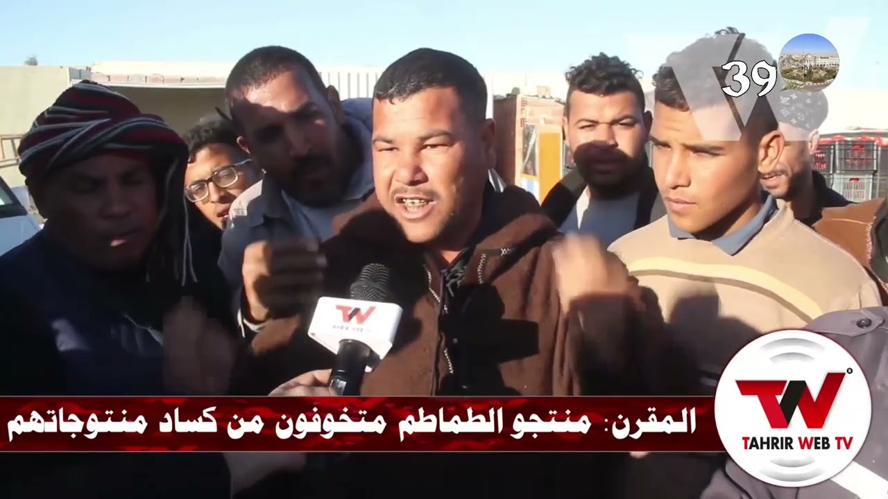 خسائر الفلاحين المنتجين للطماطم 🍅 🍅 🍅 ببلدية المقرن نقلا عن #Al_Tahrir_Web_TV