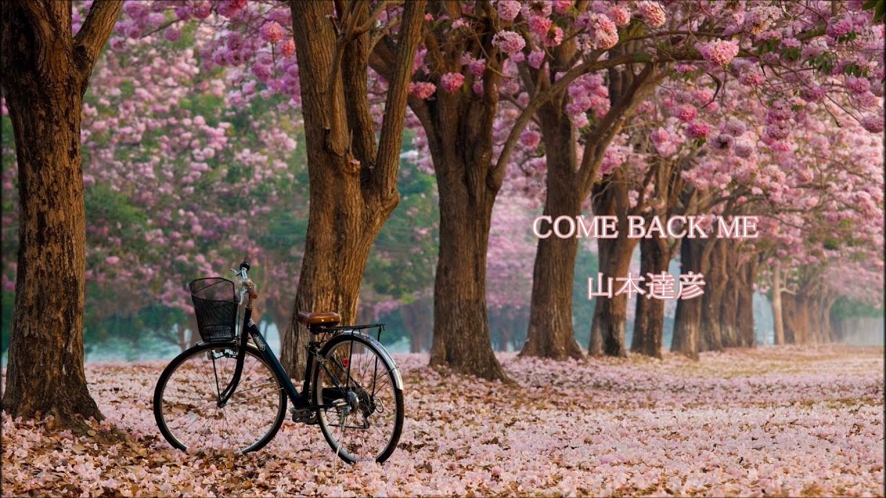 COME BACK ME（single version）　山本達彦