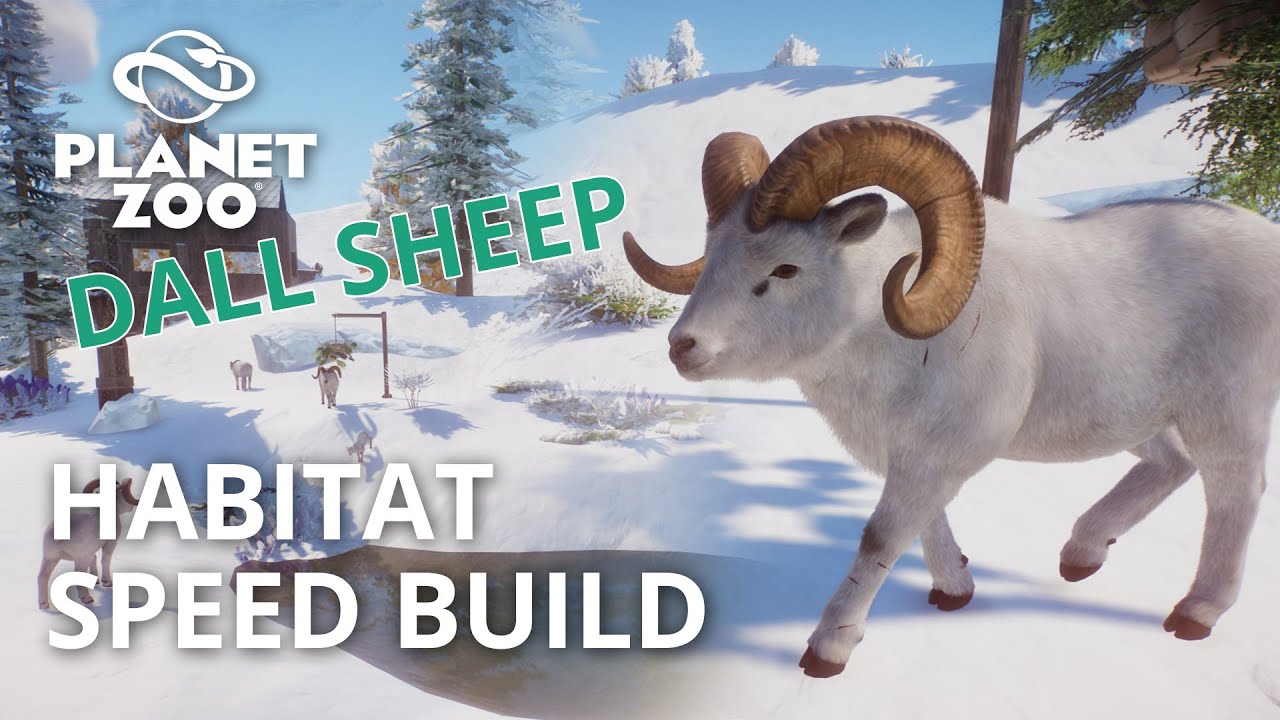 Planet Zoo Arctic Pack | Dall Sheep Habitat Speed Build