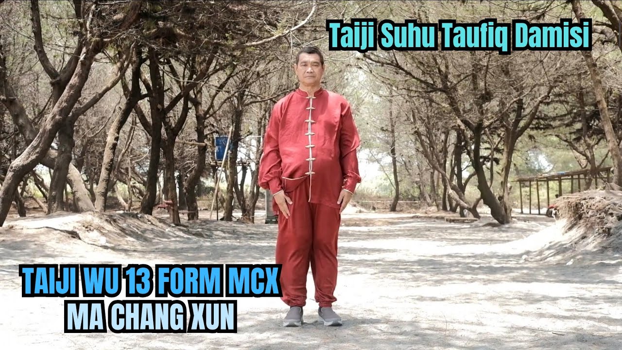 TAIJI WU 13 FORM MCX (MA CHANG XUN)