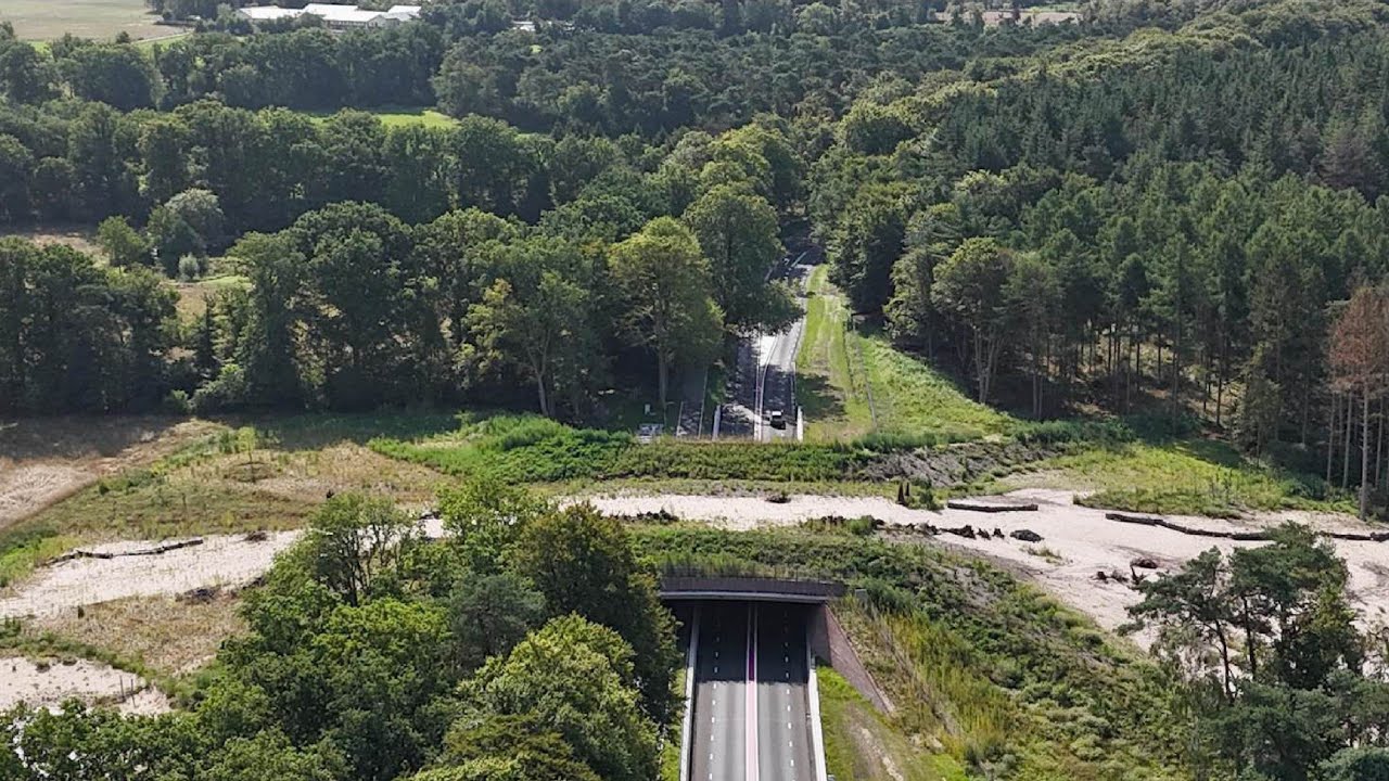 Ecoduct Maarsbergen geopend