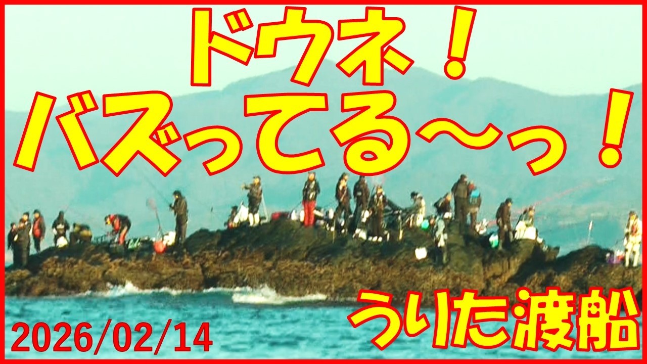 2026/02/14 和歌山県串本町潮岬【うりた渡船】(五目釣り)釣れたらいいね！なんちゃんチャンネル