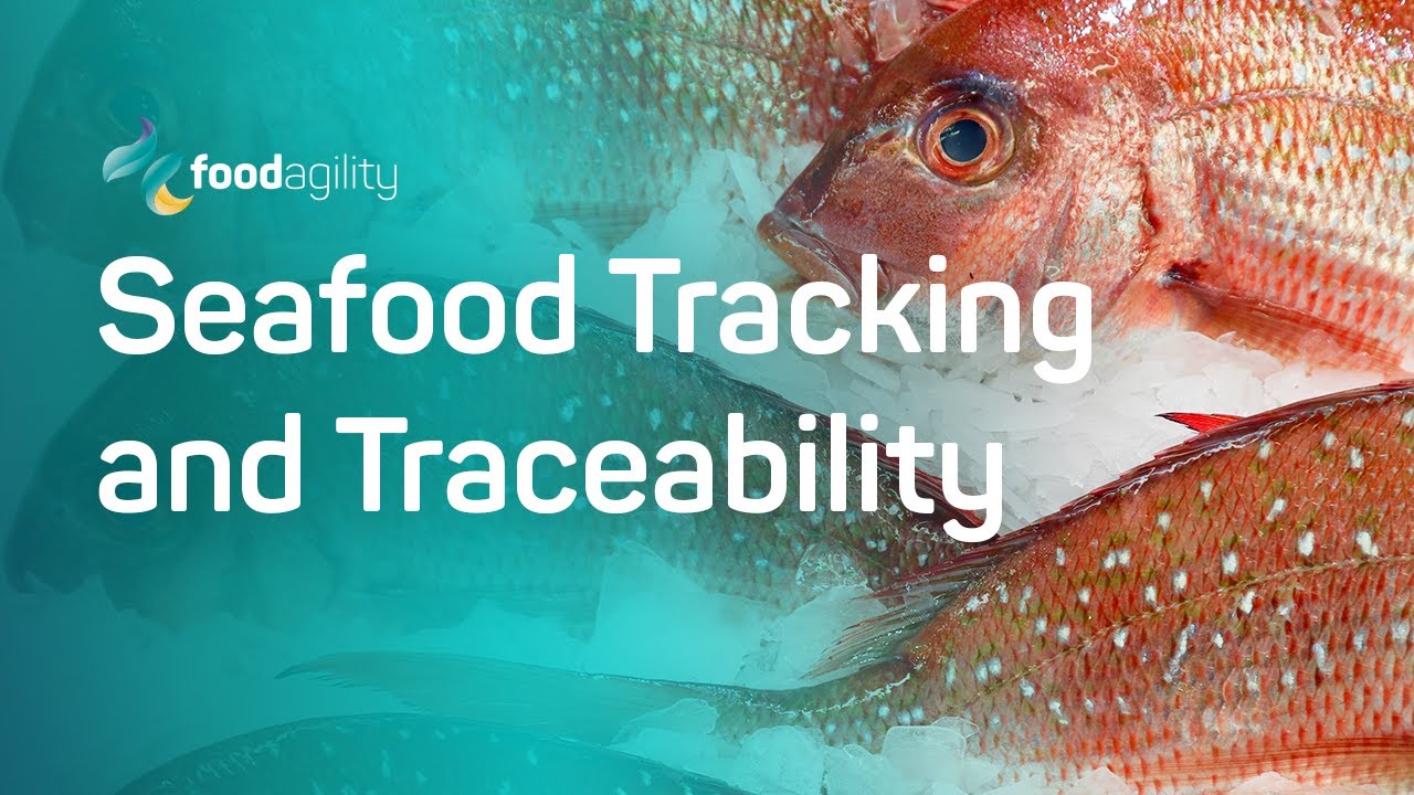 Seafood Tracking and Traceability: from 'bait to plate' with blockchain